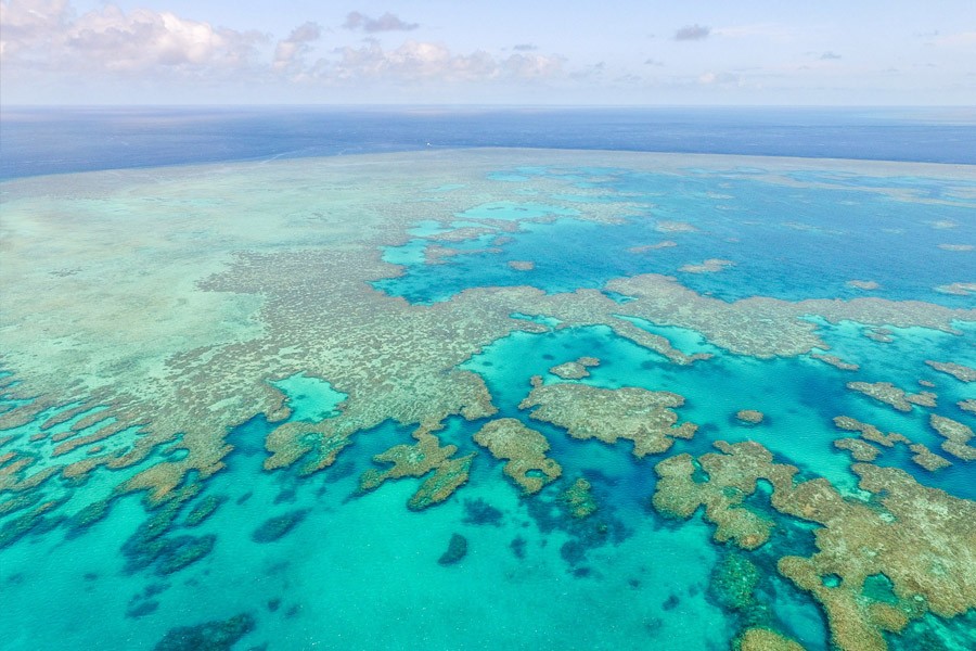 Sailing Whitsundays Hero Image For Eye on the Reef - How you can help the Great Barrier Reef