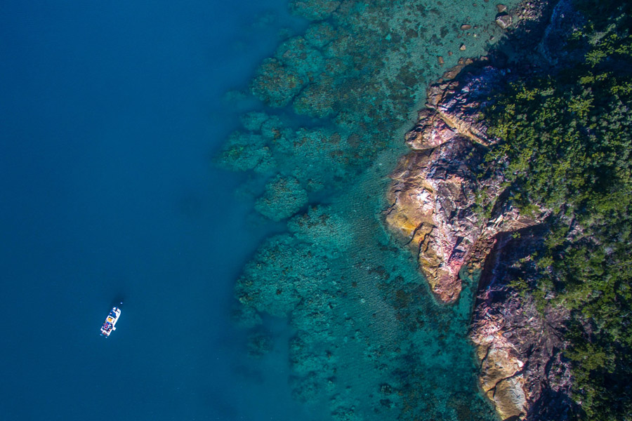 Sailing Whitsundays Hero Image For What does the Great Barrier Reef Marine Park Authority (GBRMPA) do?