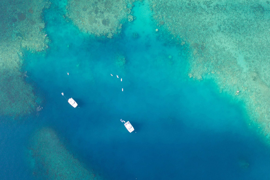 Sailing Whitsundays Hero Image For How Is A Coral Reef Formed In The Great Barrier Reef Marine Park?