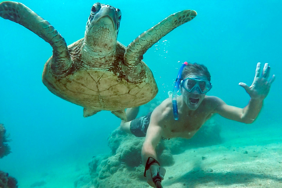 Turtle selfie, Whitsundays, Explore whitsundays