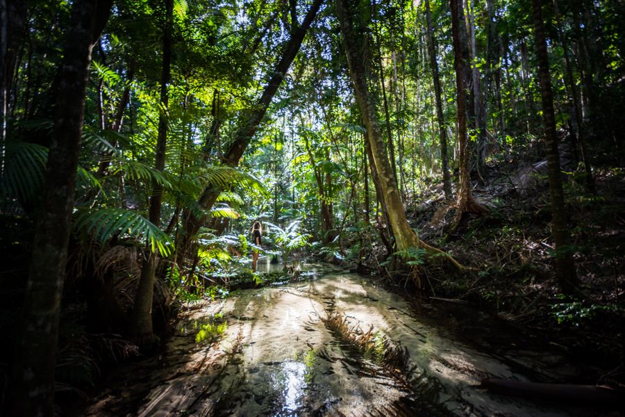 Wanggoolba Creek Fraser Island - Fraser-Tours.com