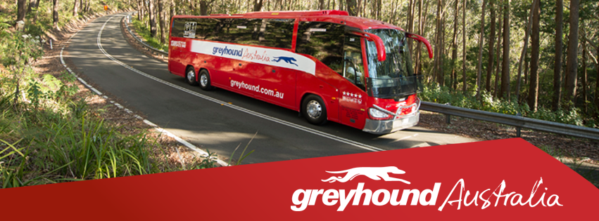 Greyhound Buses: Greyhound Buses - Fraser Tours Image