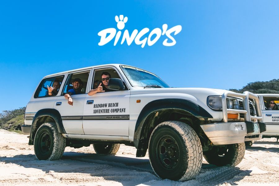 Dingo's Fraser Island Tours: Dingo's Fraser Island Tours - Fraser Tours Image