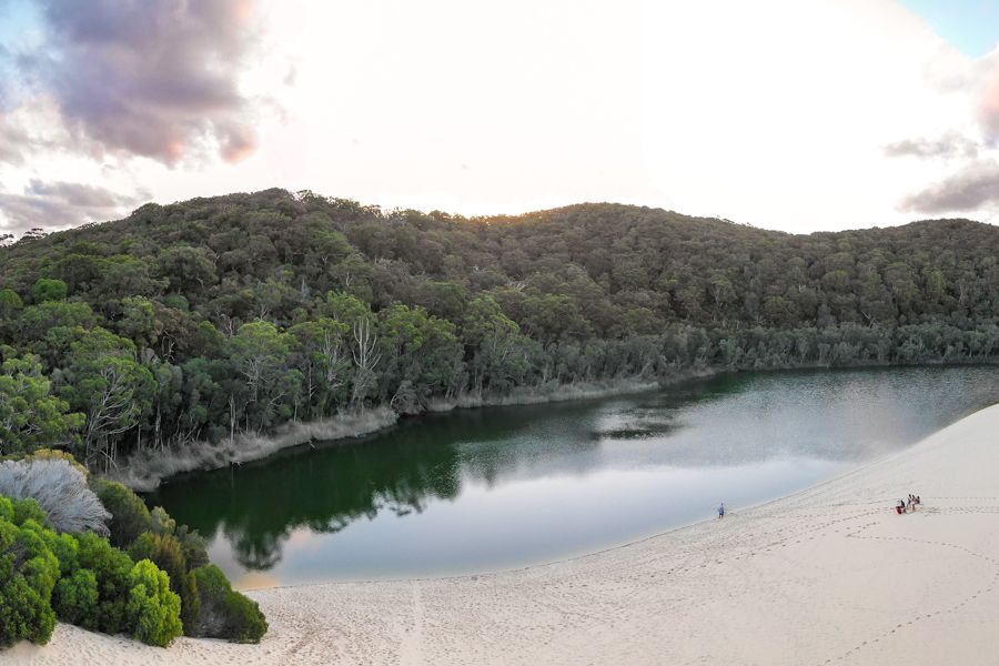 fraser island tour book