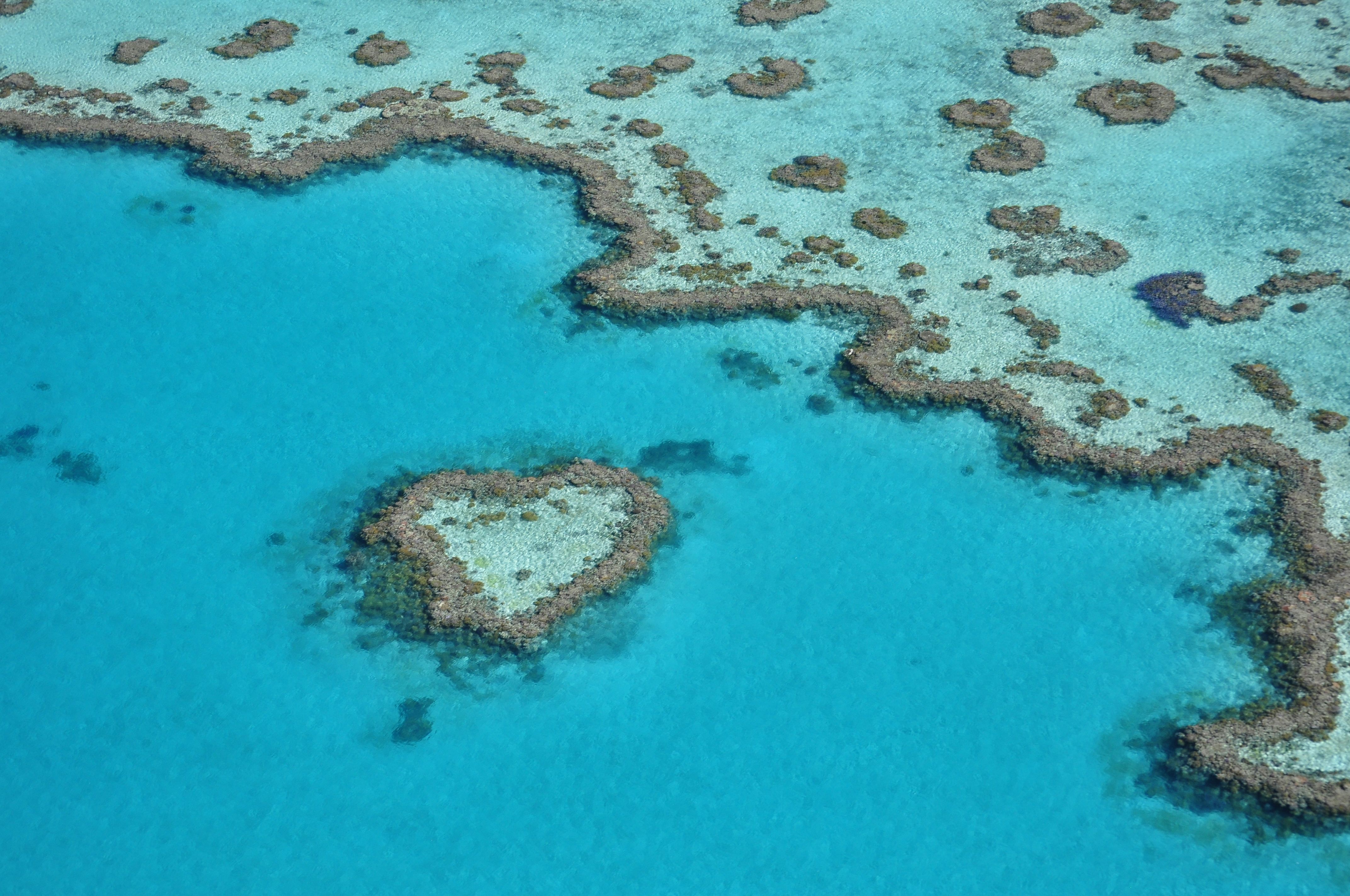 Heart Reef