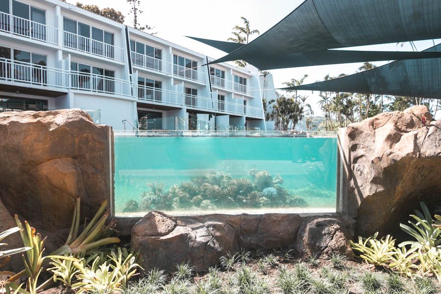 daydream island, living reef