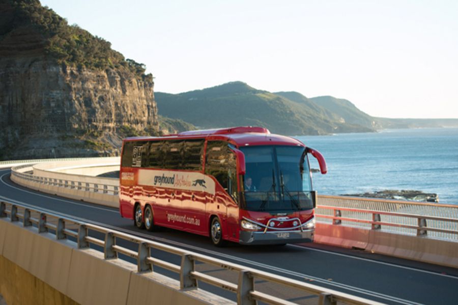 The difference between Greyhound and Premier Buses - Sailing Whitsundays