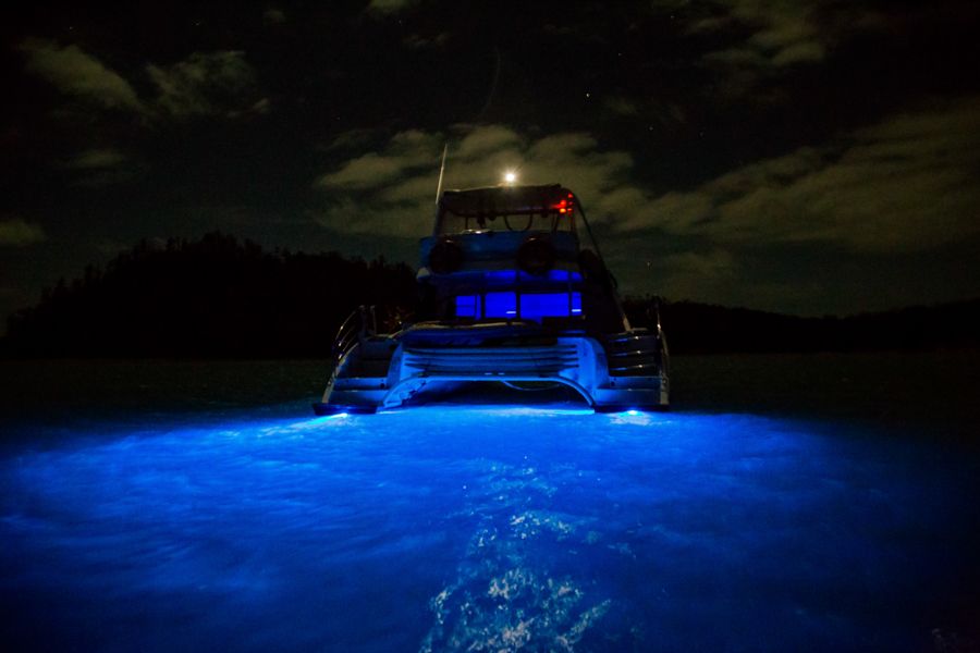 Powerplay Underwater Lights