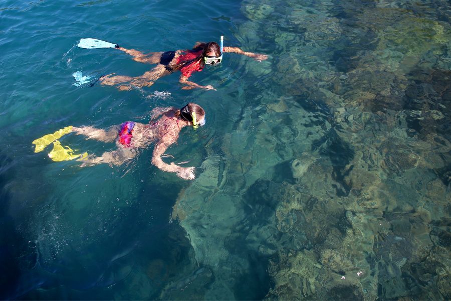 snorkelling, daydream island