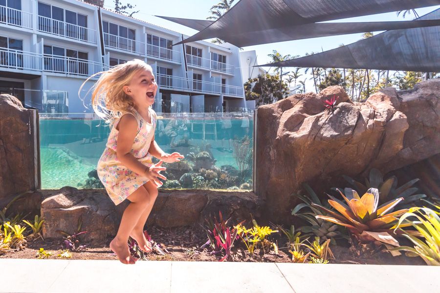 aquarium , daydream island