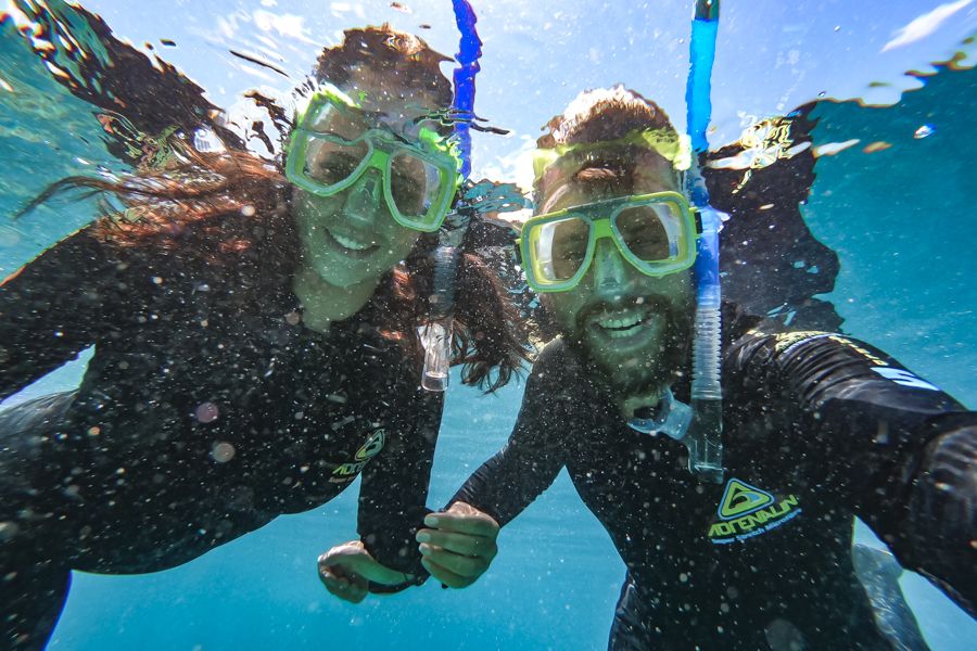 snorkelling whitsundays