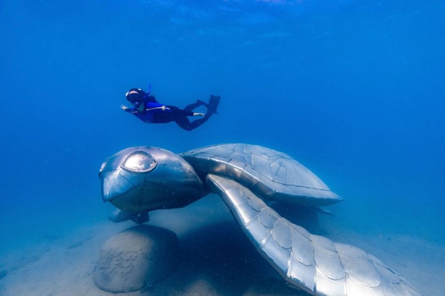 Underwater Sea Trail