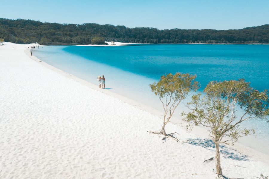 How to Get to Fraser Island: Everything You Need to Know - Fraser-Tours.com
