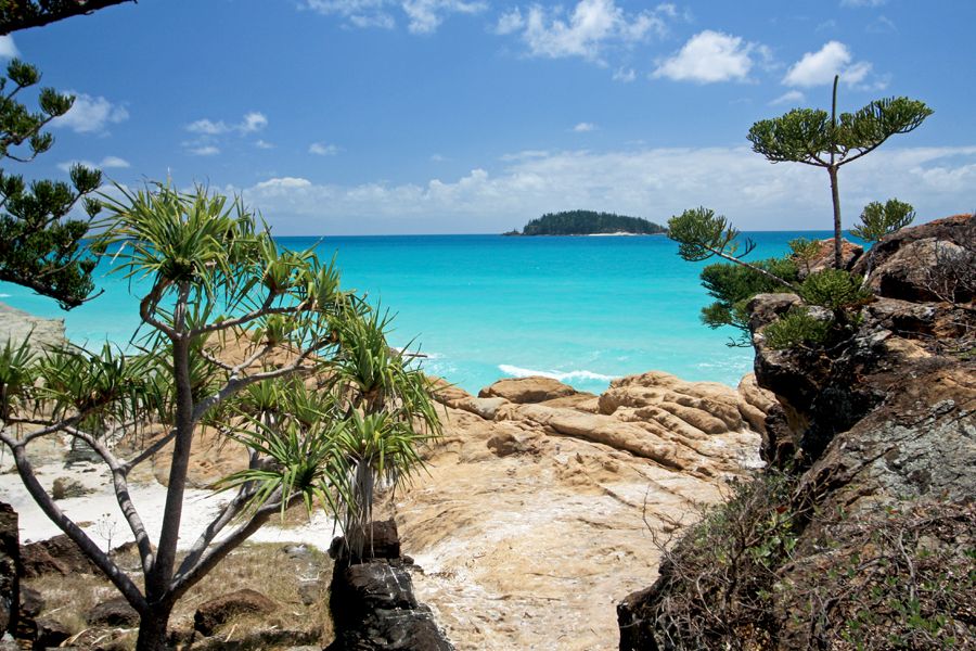 tropical scenery at whitehaven beach in the whitsundays