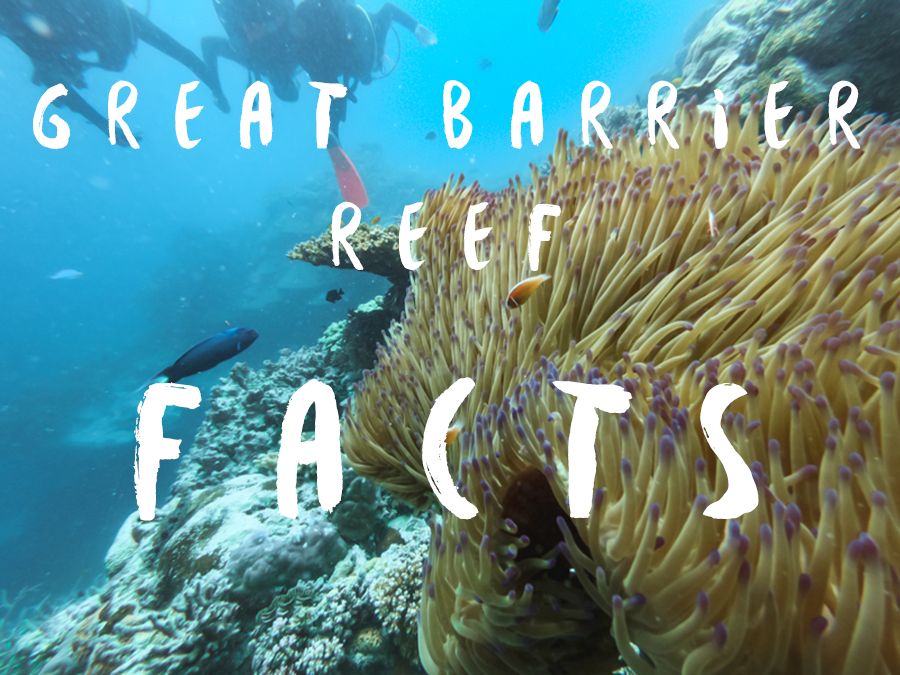 Great Barrier Reef Facts