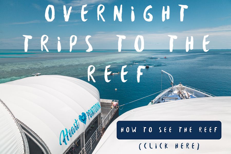 Overnight Trips to The Reef