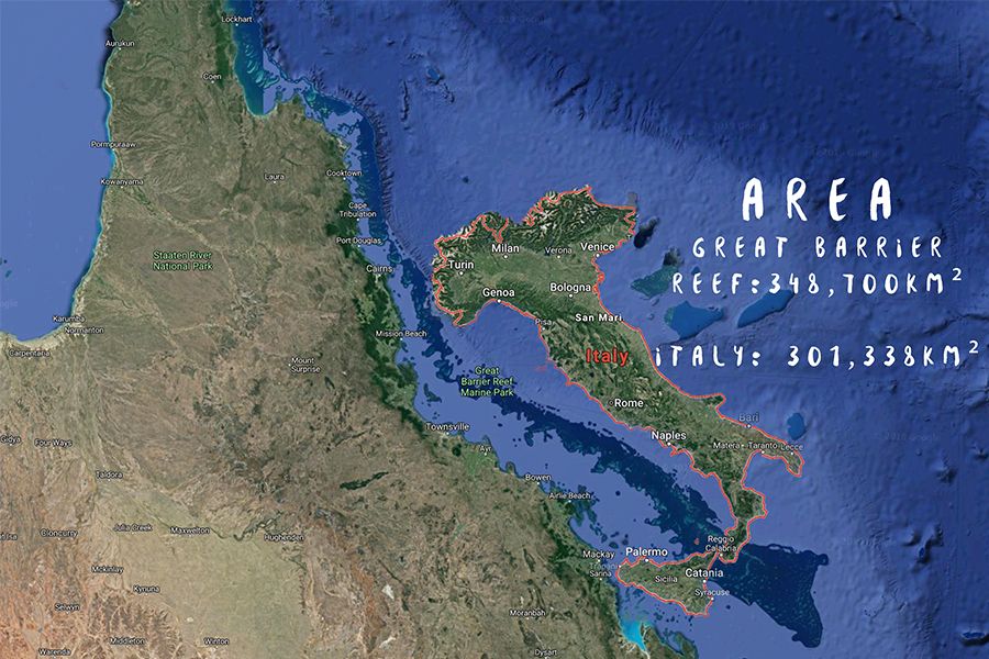 Size comparison of the reef and Italy