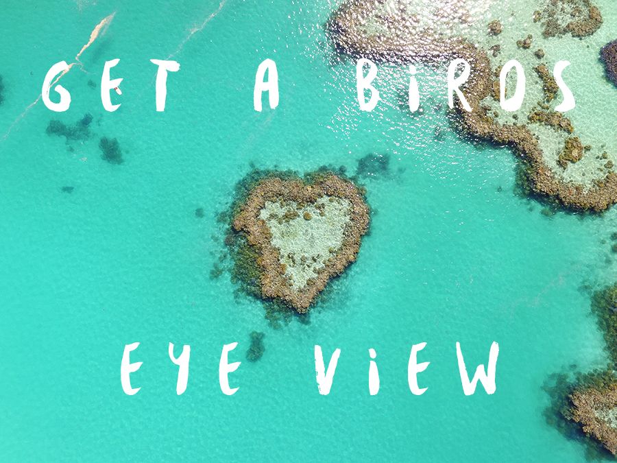 Get a birds eye view