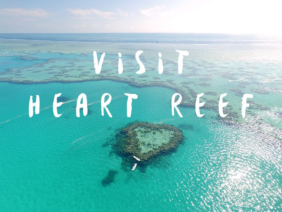 Visit Heart Reef