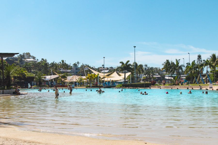 people swimming in the airlie beach lagoon