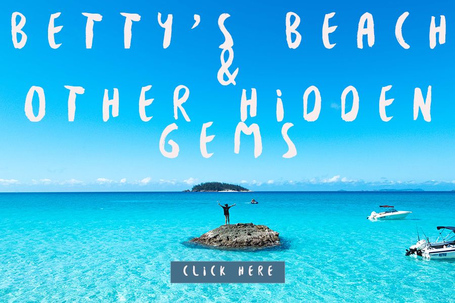 Bettys Beach and Other Hidden Gems