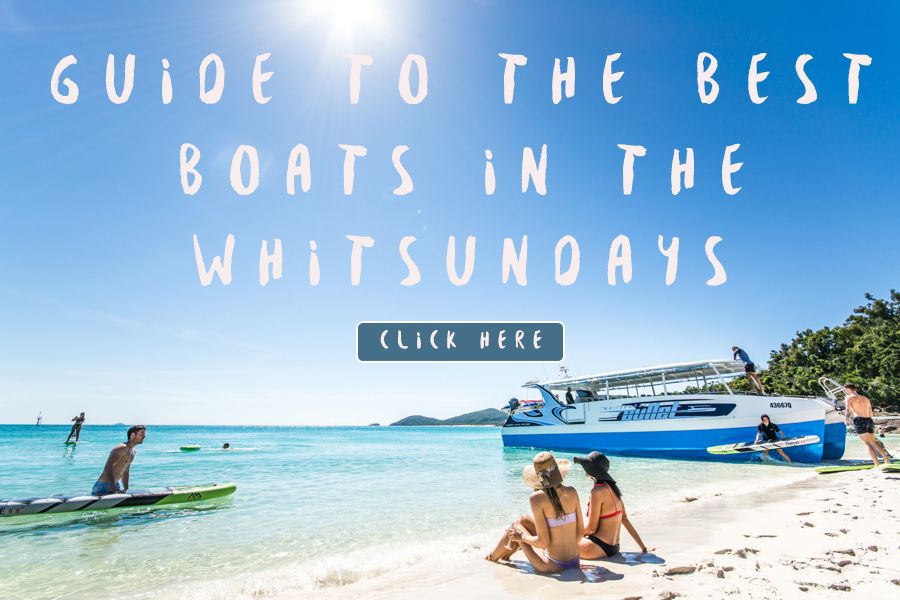 Choosing the Right Whitsundays Tour