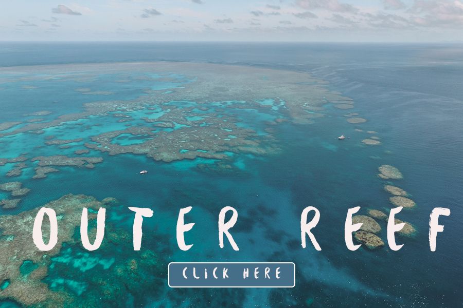 Outer-reef-tours-whitsundays