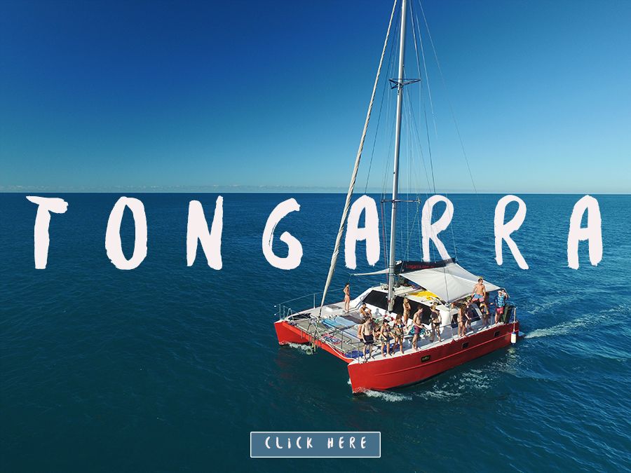 Tongarra Whitsunday Party Boat