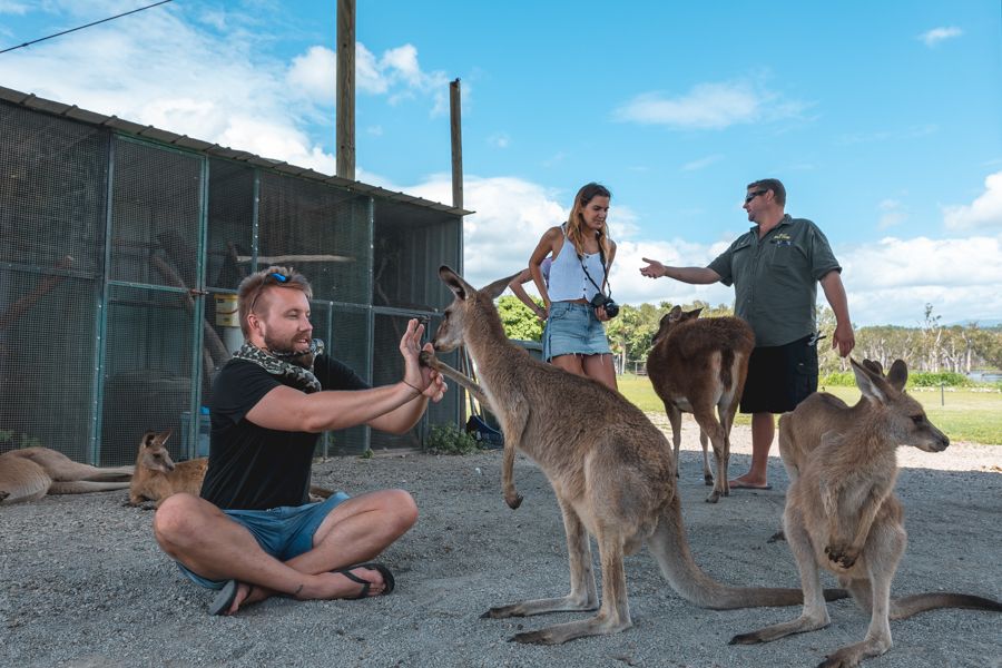 bredyls, wildlife, whitsundays