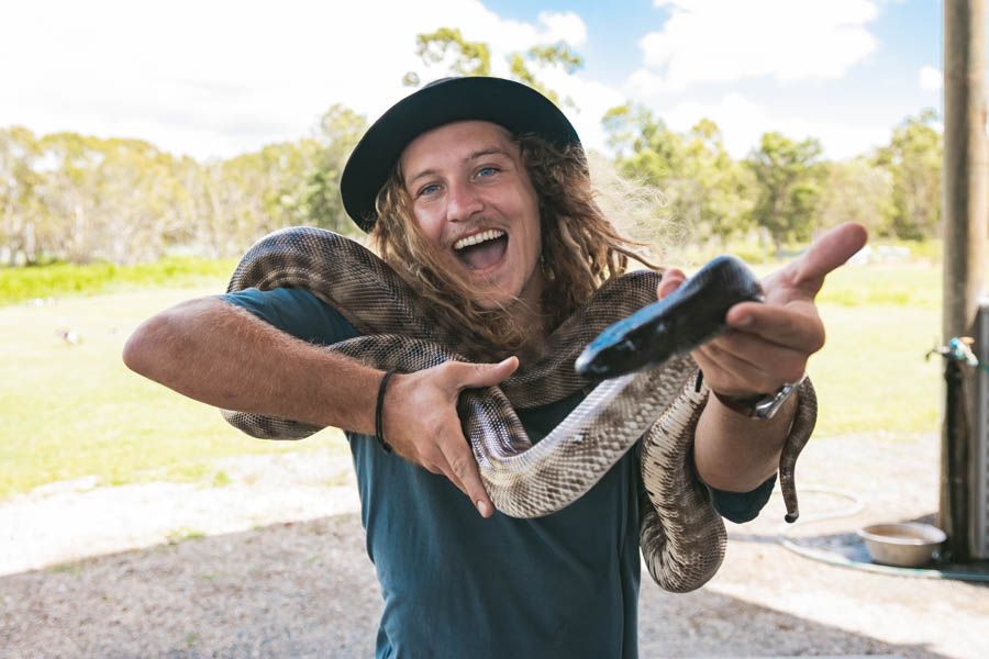 snakes, whitsundays