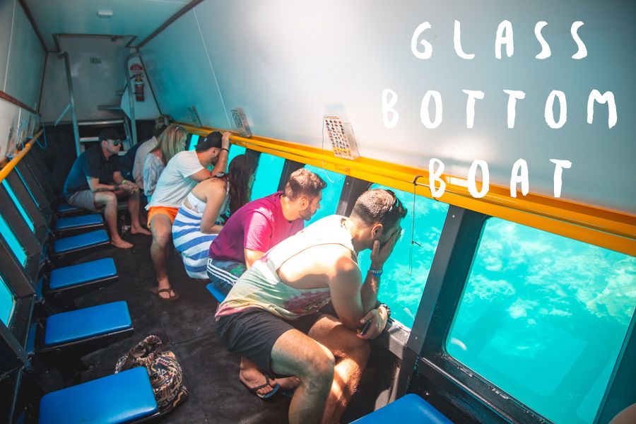 Glass Bottom Boat Whitsundays