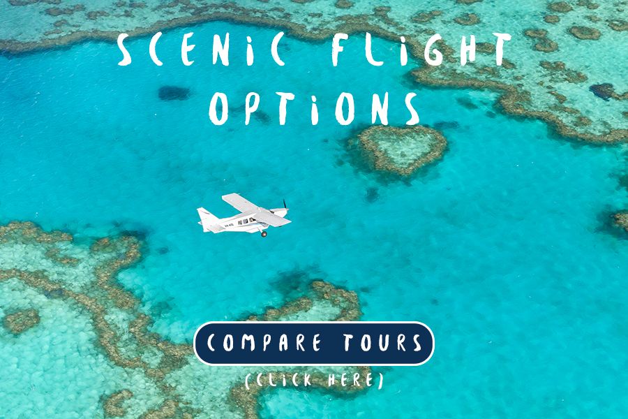 Scenic Flight Options