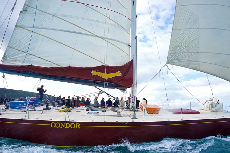 maxi yacht condor