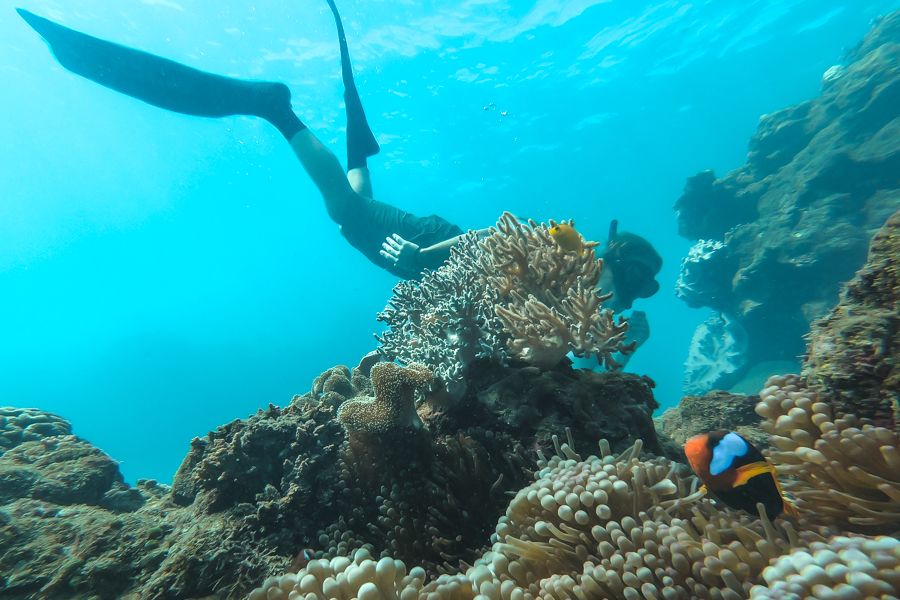 Is Great Barrier Reef safe?