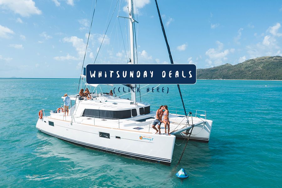 Whitsunday Deals