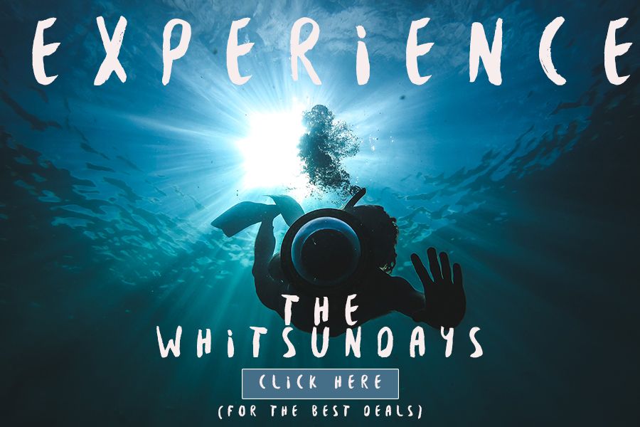 Experience the Whitsundays