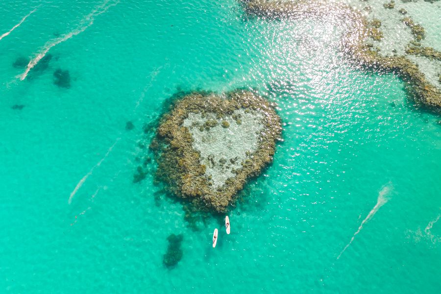 Stand Up Paddle Boarding Heart Reef