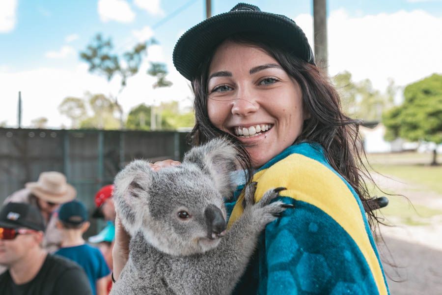 Koala hugging photo