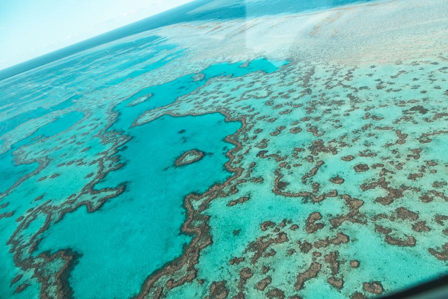 the great barrier reef