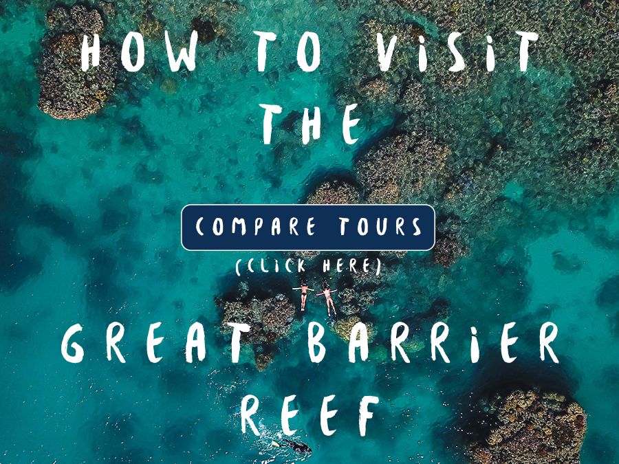 How to see the reef