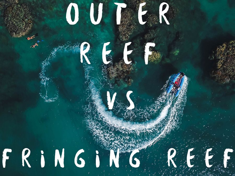 Outer Reef Vs Fringing Reef