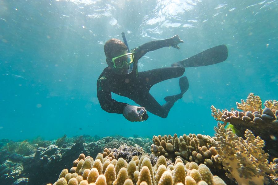 snorkelling, whitsundays