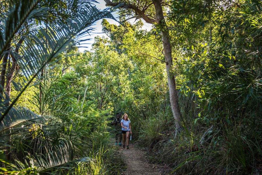 walkers on the lush Kingfisher Circuit Airlie Beach