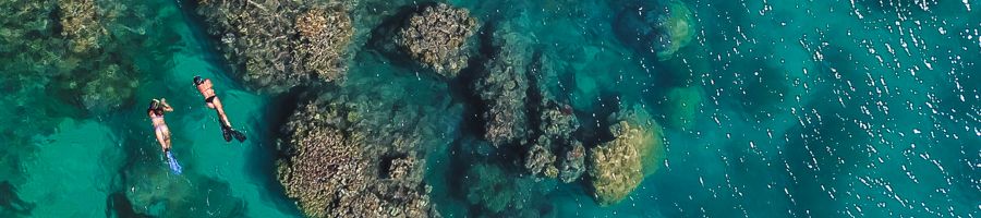 Snorkelling the whitsundays with Siska