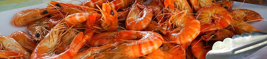 Fresh Whitsunday Prawns on Big Fury, the Whitsundays