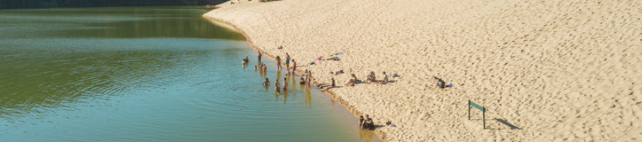 People swimming in a green lake next to a sand dune