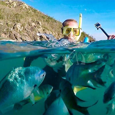 girl snorkeling with fish