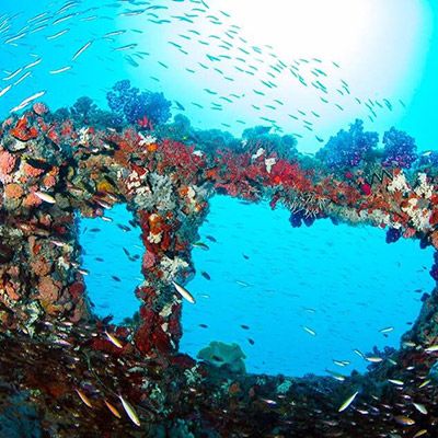 ship covered in coral underwater