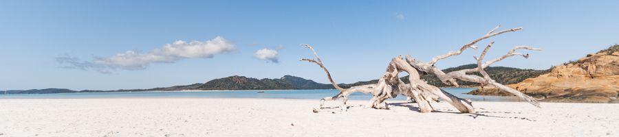 Whitehaven Beach Adventurer Private Charter