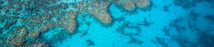 Cairns Reef Sites